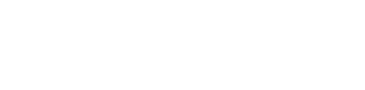 york archaology logo